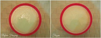 Vanilla Ice Cream Collage - Indian Curry Shack