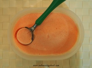 Watermelon Ice Cream - Frozen - Indian Curry Shack