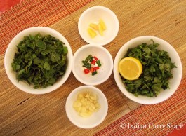 Green Chutney - Ingredients - Indian Curry Shack